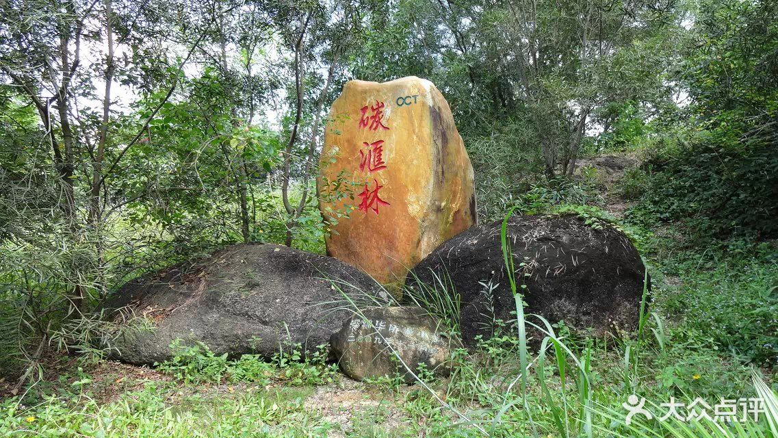 燕晗山郊野公园图片 第13张