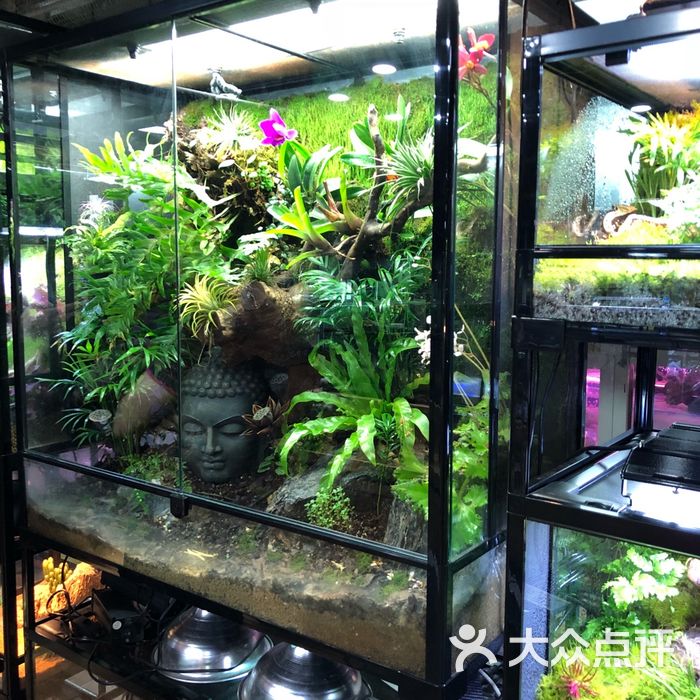 新官园花鸟鱼虫工艺品市场