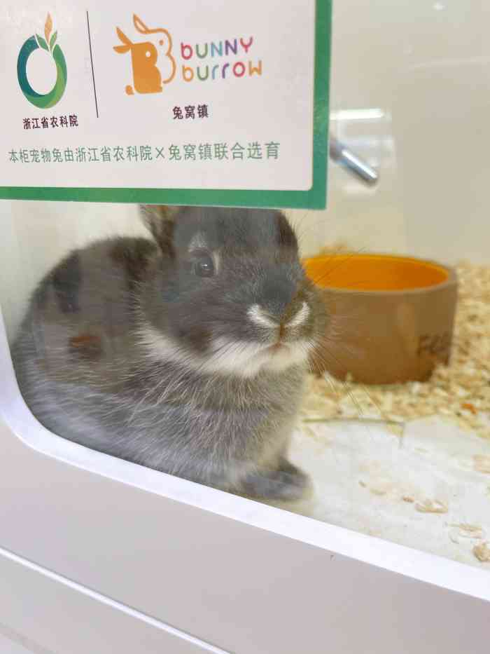 兔窝镇bunnyburrow(万象城店)