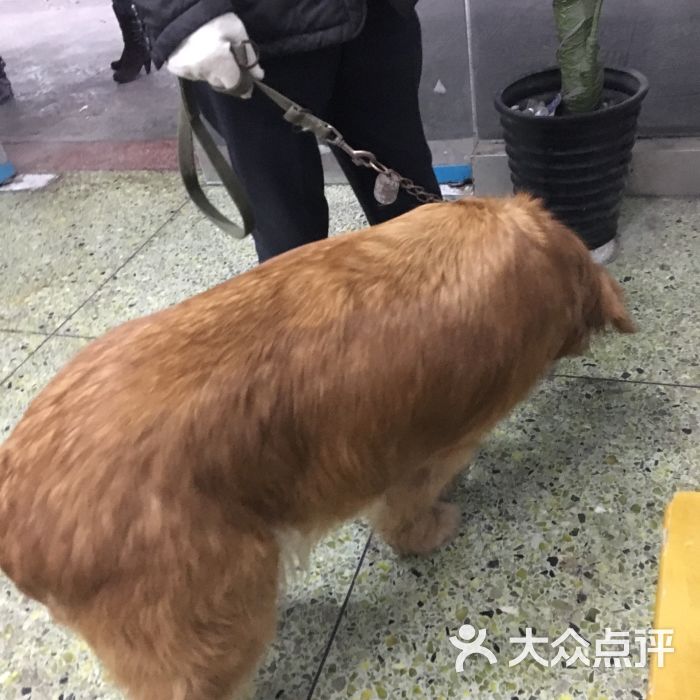 西南民族大学动物医院