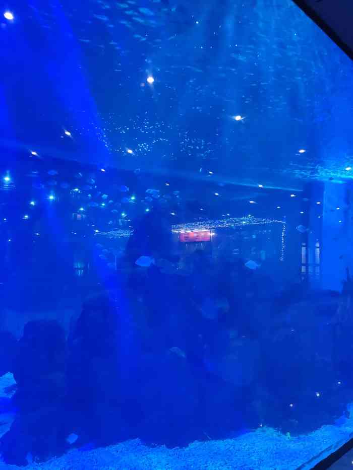 鎏嘉码头水族馆-"小小水族馆,这个位置在鎏嘉码头,不.