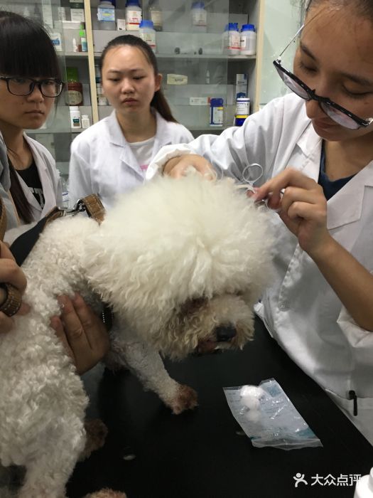 西南民族大学动物医院图片 - 第4张