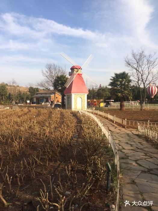 大渔公园-图片-呈贡区周边游-大众点评网