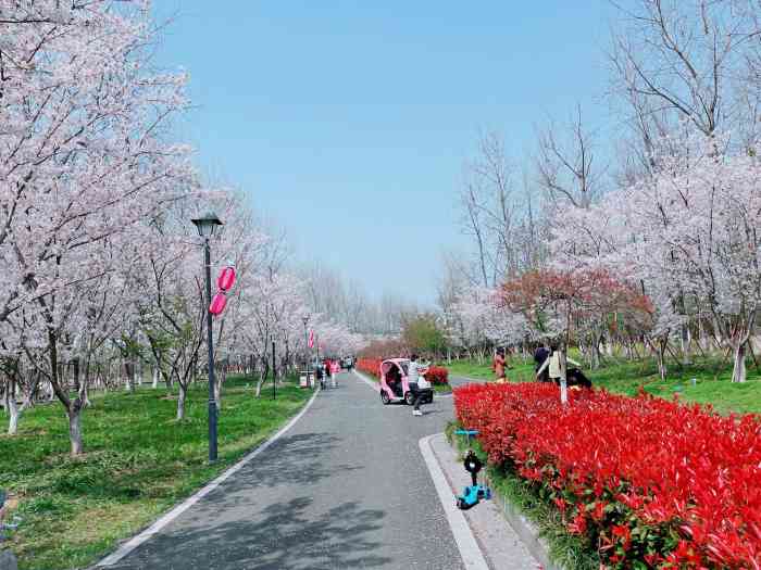 苏州湖畔花语景区