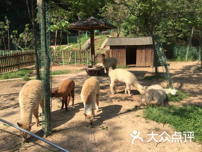 珍珠泉野生动物园图片 - 第4张