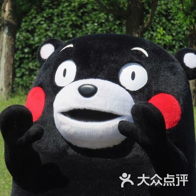 武六七小黑粉