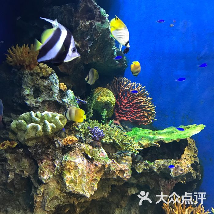 63水族馆/63海洋世界图片 - 第6张