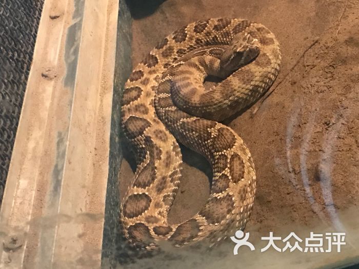 北京动物园图片 第15张