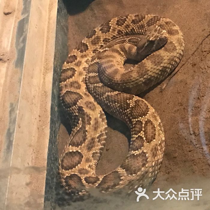 北京动物园的蛇馆建好了么? 北京动物园
