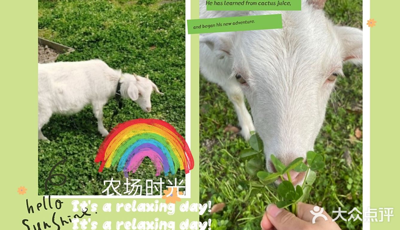 舒适的农场时光