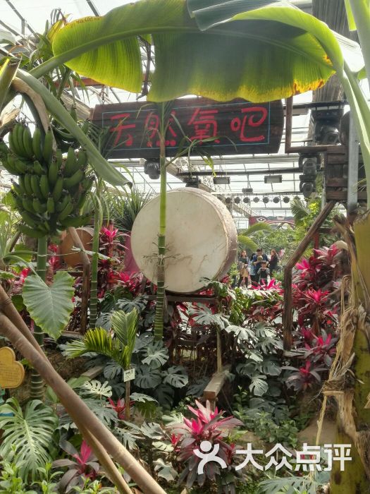 呀路古热带植物园-图片-北京周边游-大众点评网