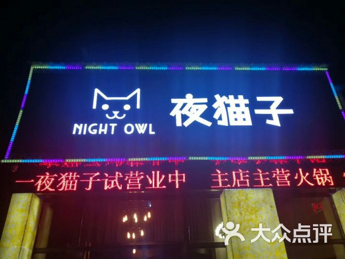 夜猫子图片 - 第8张