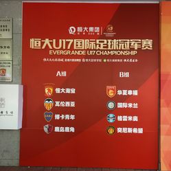 德信体育- 德信体育官方网站- 德信体育APP下载 DEXIN SPORTS枫桦木运动地板