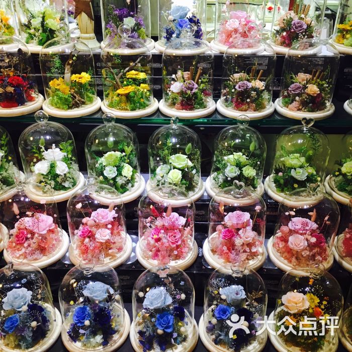 曹家渡花鸟市场图片 - 第1415张