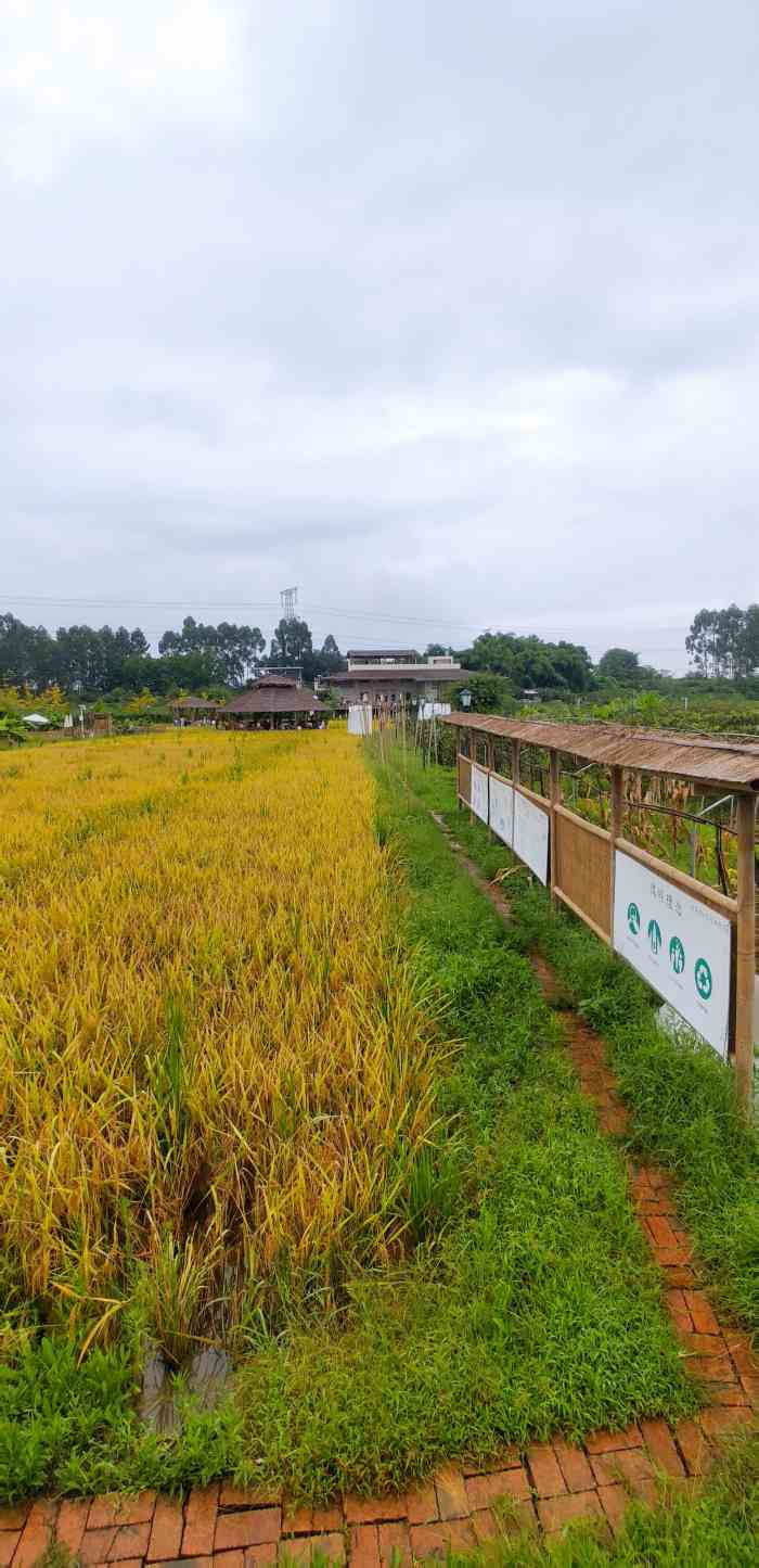 小草垛田野农场-"今天去了最近大97的小草垛田野,.