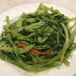 太子海鲜粥城(康乐路店)的椒丝腐乳炒通菜好不好吃?