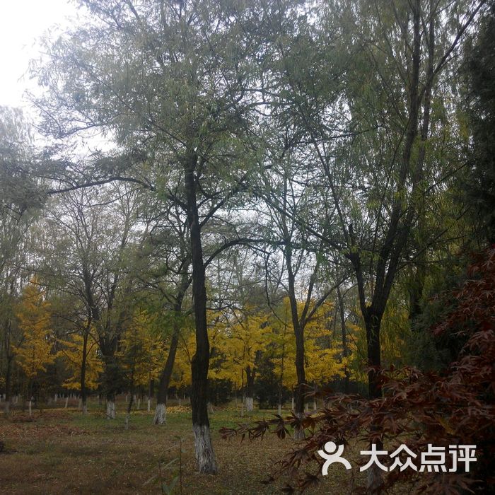 高鑫公园