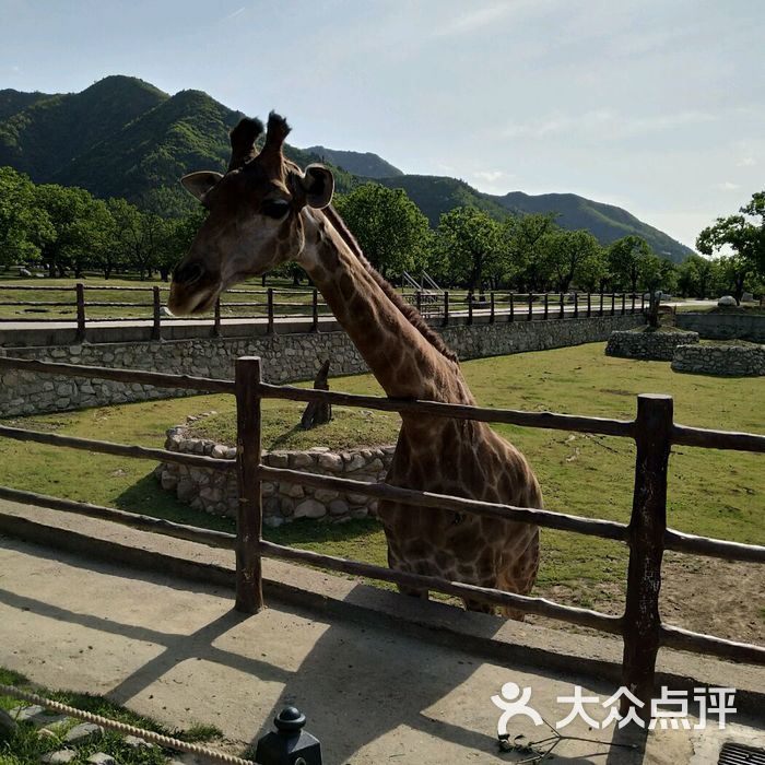 西安秦岭野生动物园