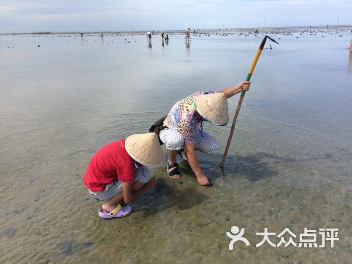 红树林欢乐赶海-图片-北海周边游-大众点评网