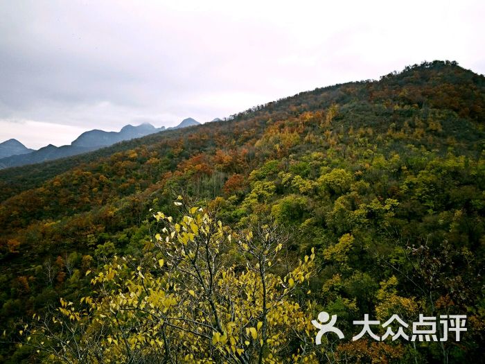 黄草梁风景区图片 - 第12张