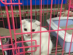 温暖先生宠物会所(洛溪店)-图片-guangzhou宠物