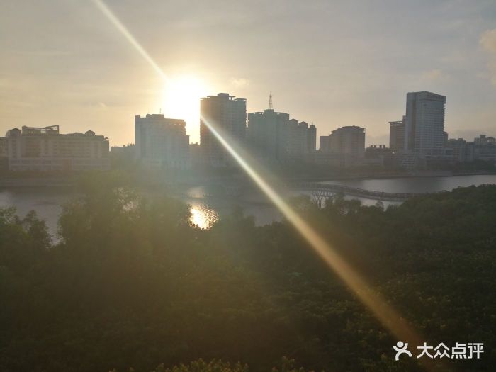 在三亚吃羊味道必来这家,汤底很浓郁,菜谱.-蜂甘庶蝎子图片