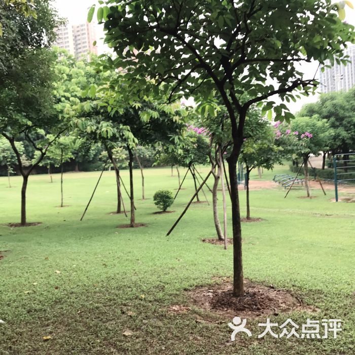 大旺公园图片 - 第5张