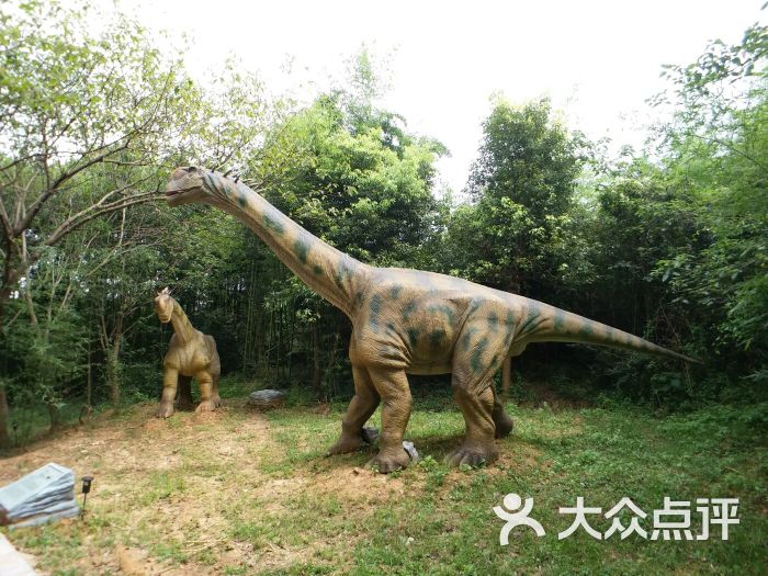 洪湖悦兮半岛温泉图片 - 第3张