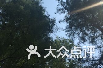 上海公园排行榜