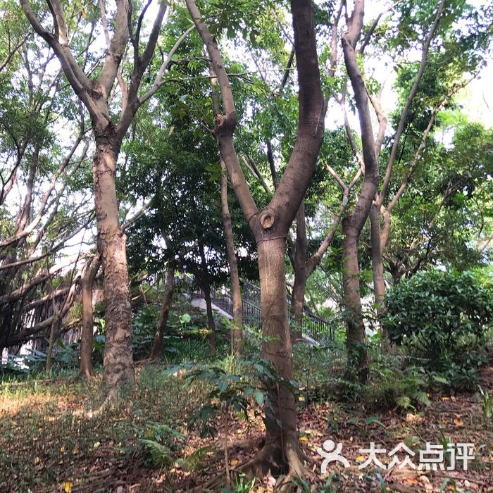 东晓公园