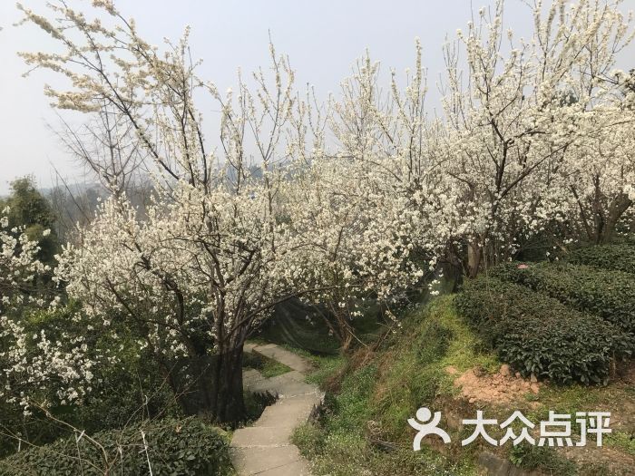 樱桃山旅游景区图片 第31张