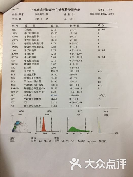 摩卡拔牙检验报告