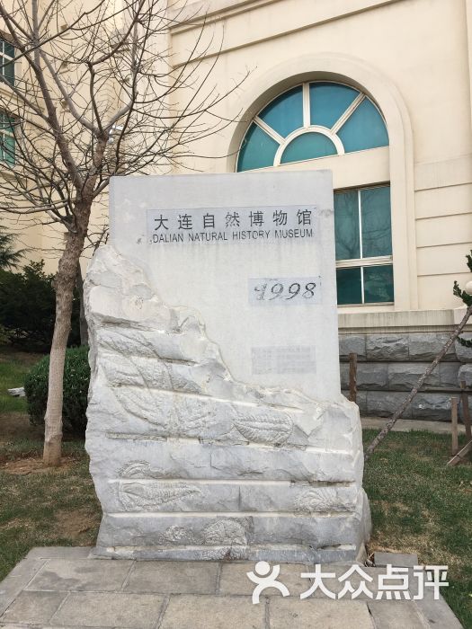 大连自然博物馆图片 第745张