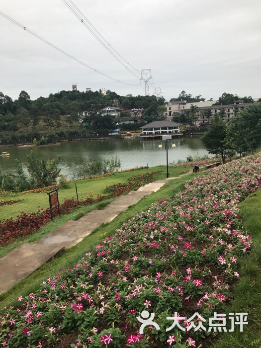 花海·桂花湖-图片-眉山周边游-大众点评网