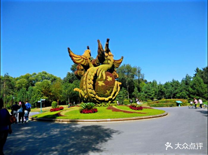 太阳岛风景区图片 - 第144张