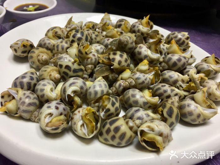 温州海鲜白灼花螺图片