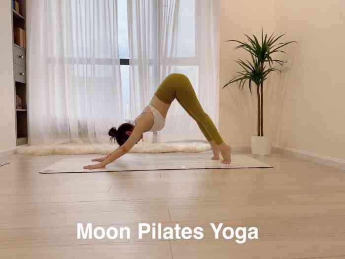 moon pilates/yoga 月亮普拉提瑜伽-"【课程】私教课.