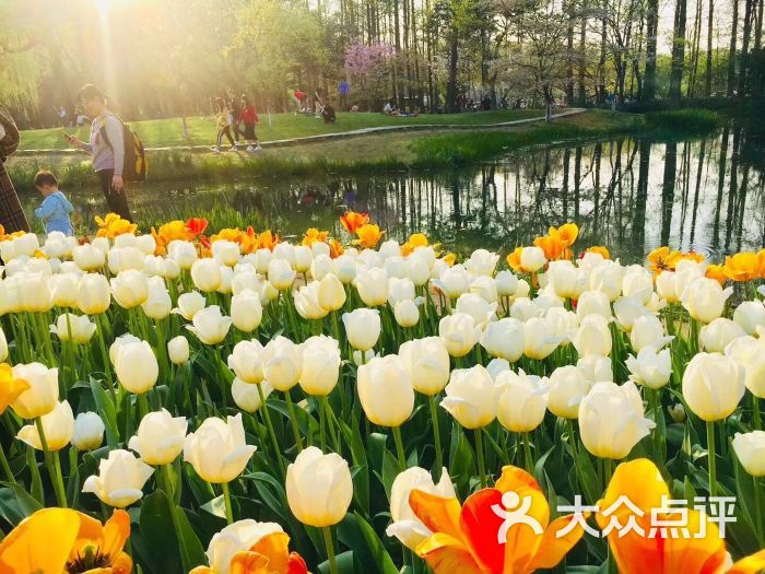 日照植物园图片 - 第7张