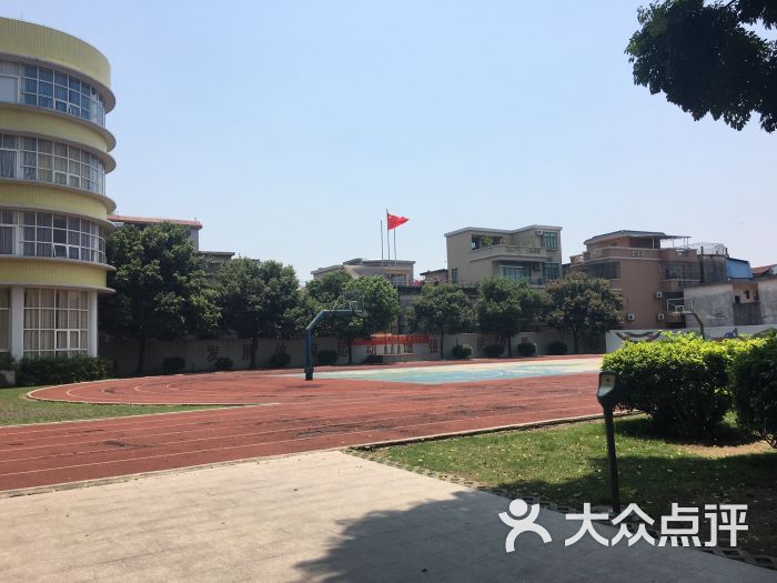 沙湾西村育才小学-图片-广州学习培训-大众点评网