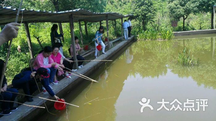 深山沟家庭农场图片 - 第2张