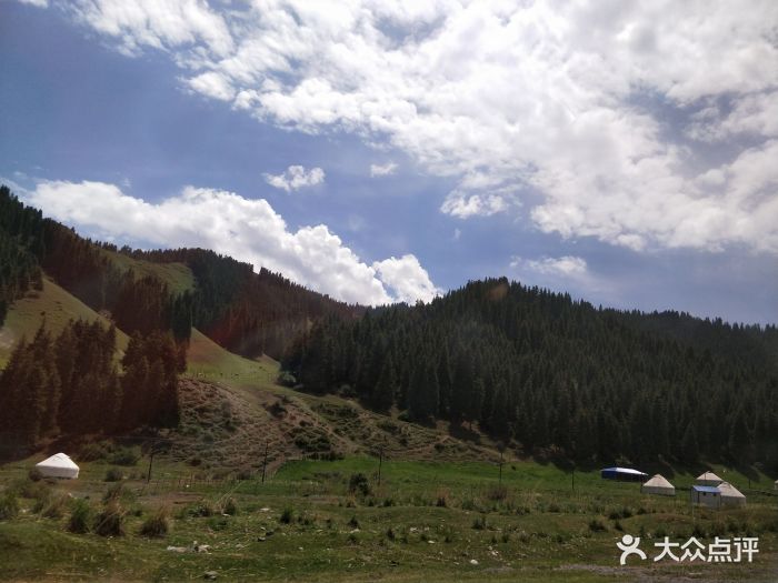 南山牧场西白杨沟风景区-图片-乌鲁木齐县周边游-大众