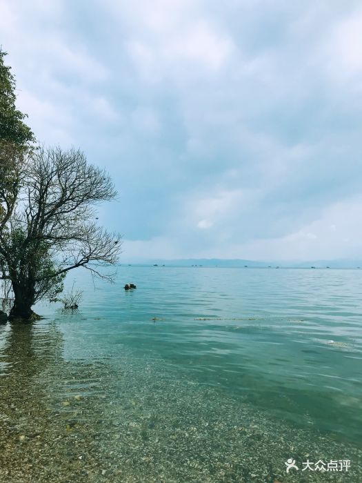 抚仙湖禄充风景区图片 - 第47张