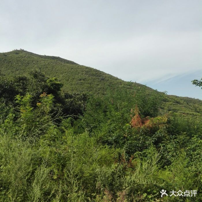 万山森林公园生态保护区-图片-荥阳市周边游-大众点评