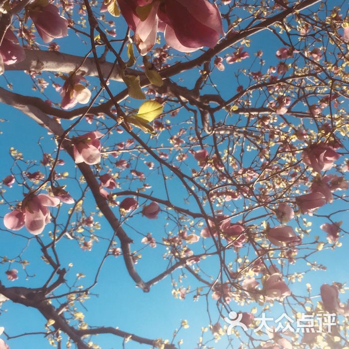 梆梆酱紫           梆梆酱紫           悠然自得_7080