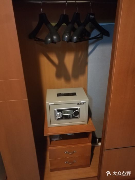 衣柜,里面有保险箱