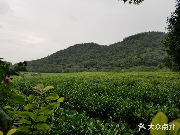 汝拉·西湖龙井私房菜(龙井路店)图片