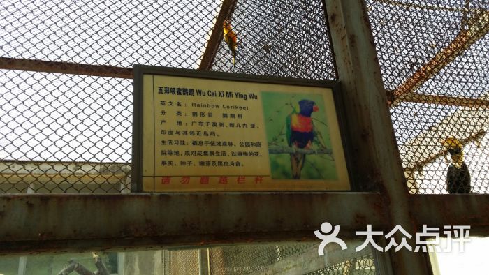 王城动物园-图片-洛阳周边游-大众点评网