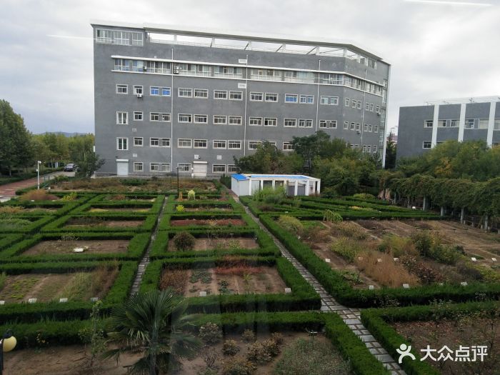 滨州医学院(烟台校区)图片
