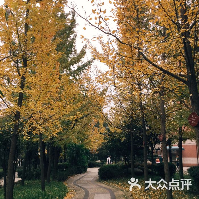 四川师范大学(狮子山校区)图片 第4张