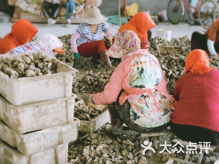 红岛休闲渔村图片 - 第6张